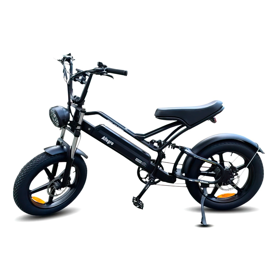 Allegro City Chopper Hydraulická brzda 30 mph Plné odpruženie Ebike