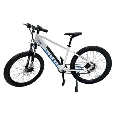 Allegro City Cruiser Ebike 500W 36V 13Ah Elektrický bicykel