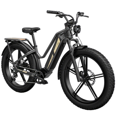 Fiido Titan Electric Bike - výkon 750W | 14,5Ah batéria | rýchlosť 28mph | dojazd 84mil