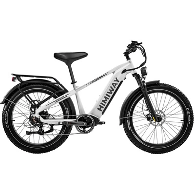 Himiway D5 Zebra High-Step Electric Bike - 250W Power | 20Ah Battery | 15.5mph Speed | 80mi Range